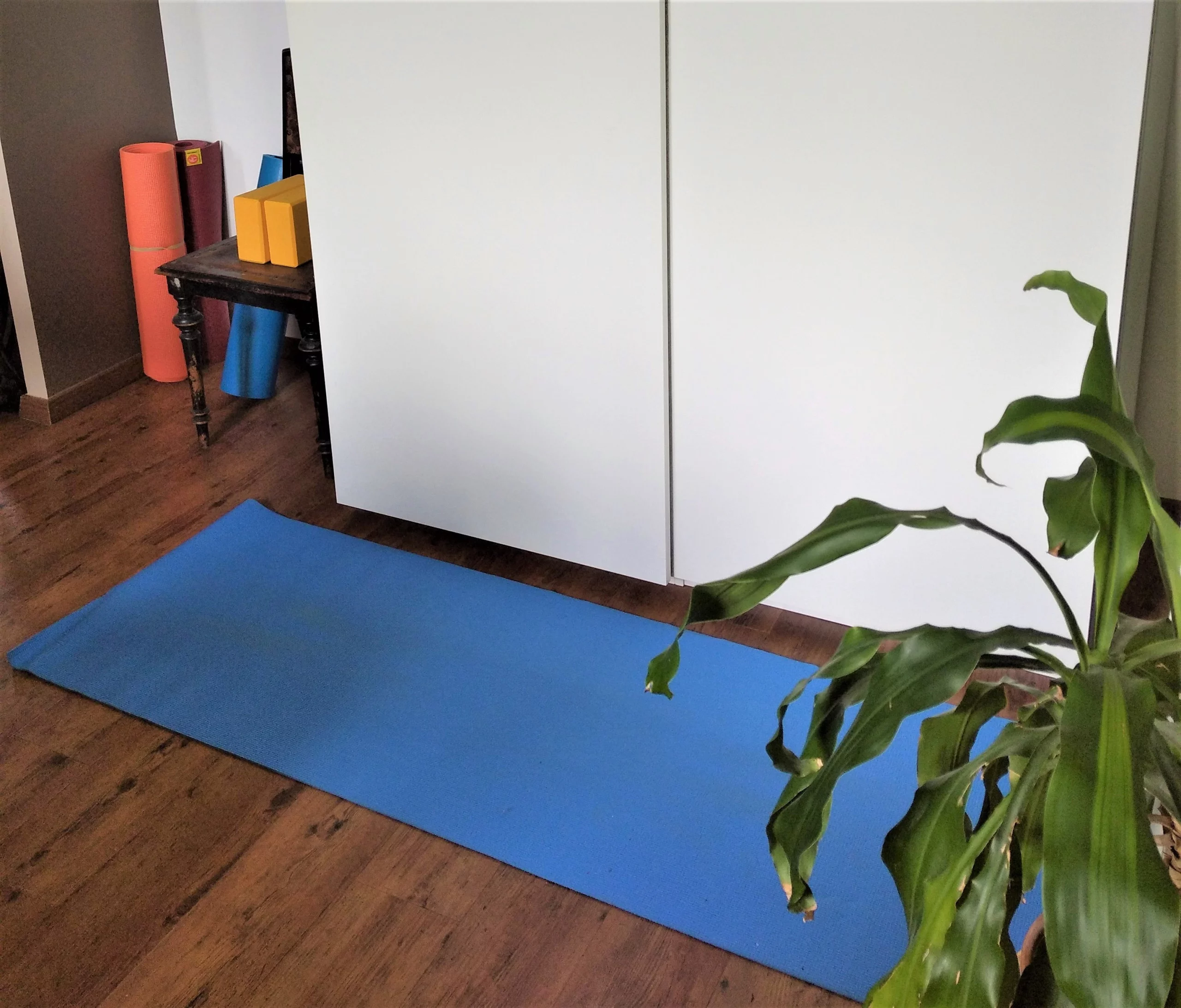 Yoga à Balbigny et en ligne avec Katrin Vordermayr